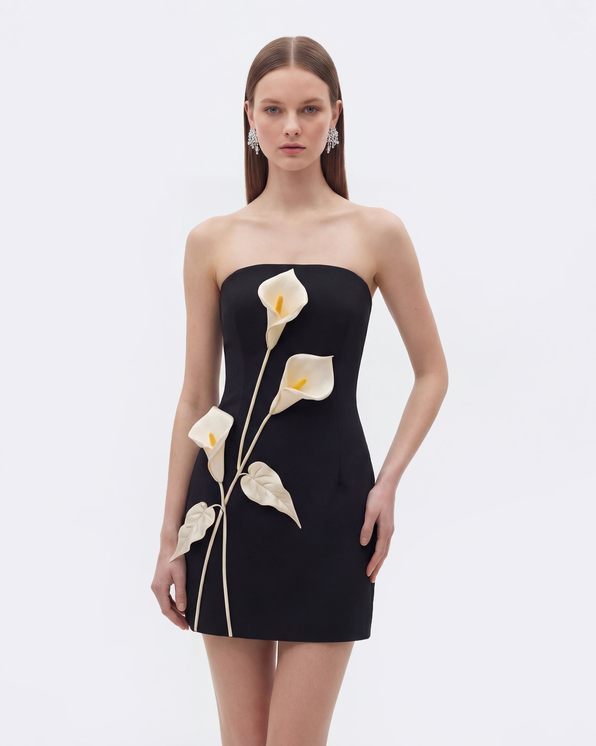 Strapless Floral Appliqu Dress - Black 8 | US