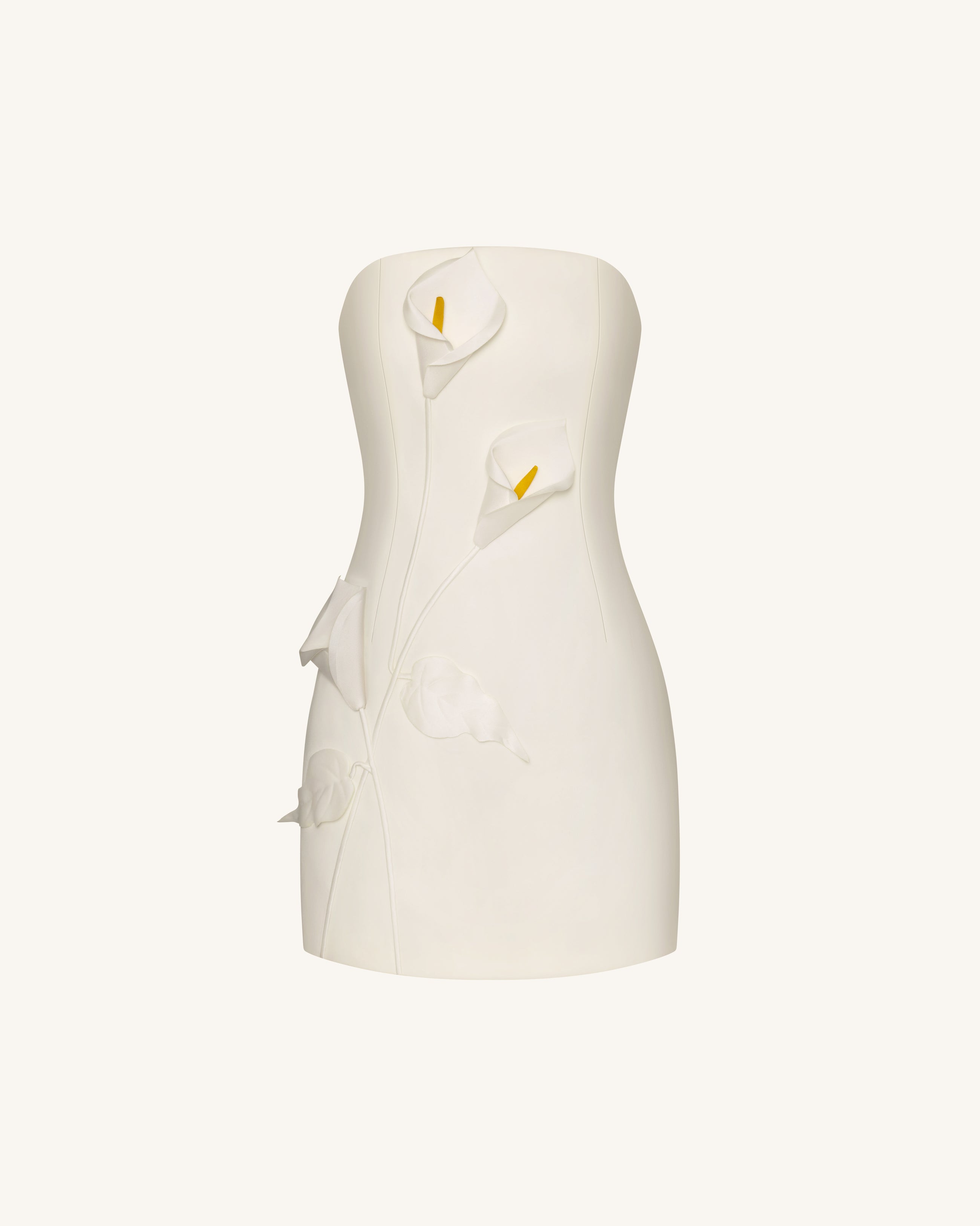 Strapless Floral Appliqué Dress - White