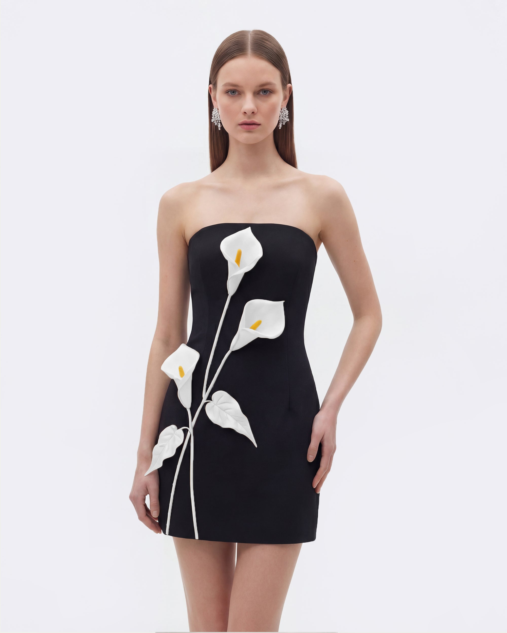 Strapless Floral Appliqué Dress