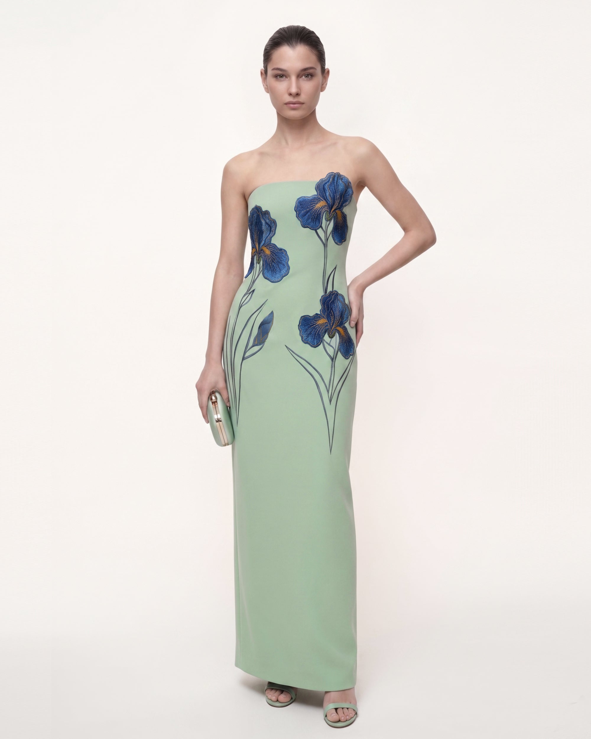 Iris Embroidered Strapless Maxi Dress - Mint Green