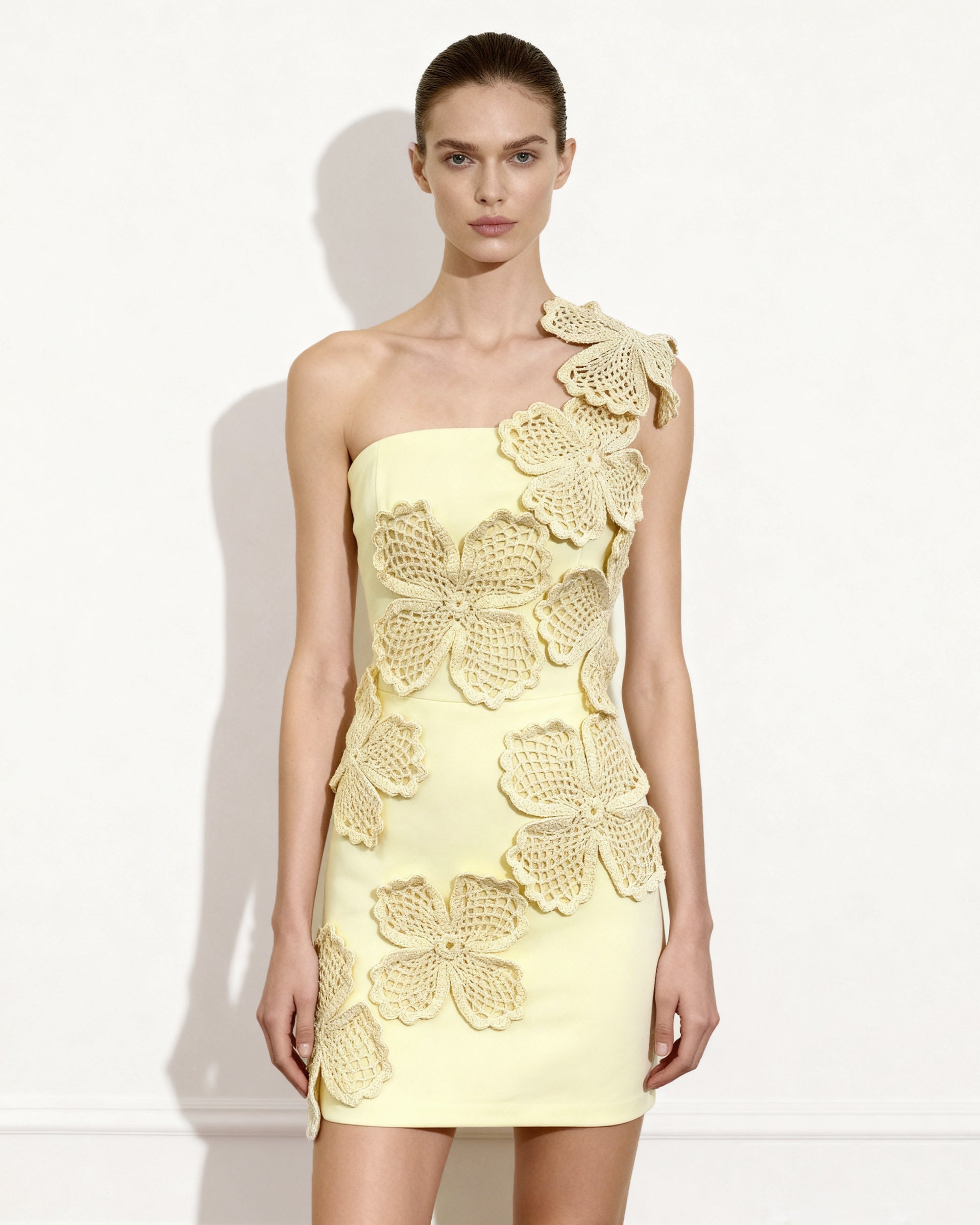 Crochet Floral Appliqu Mini Dress - Yellow 10 | US Crochet Floral Appliqu Mini Dress - Yellow 10 | US
