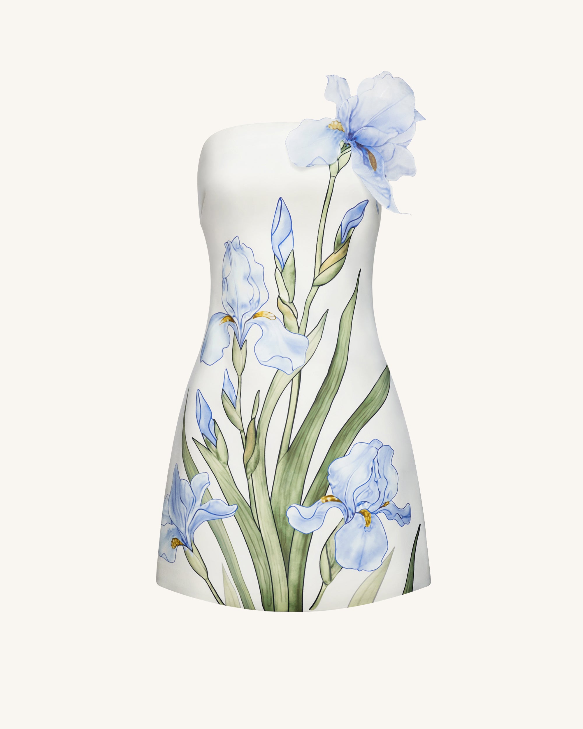 Floral Printed Mini Dress