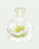 3D Floral Halter Crop Top - Ivory