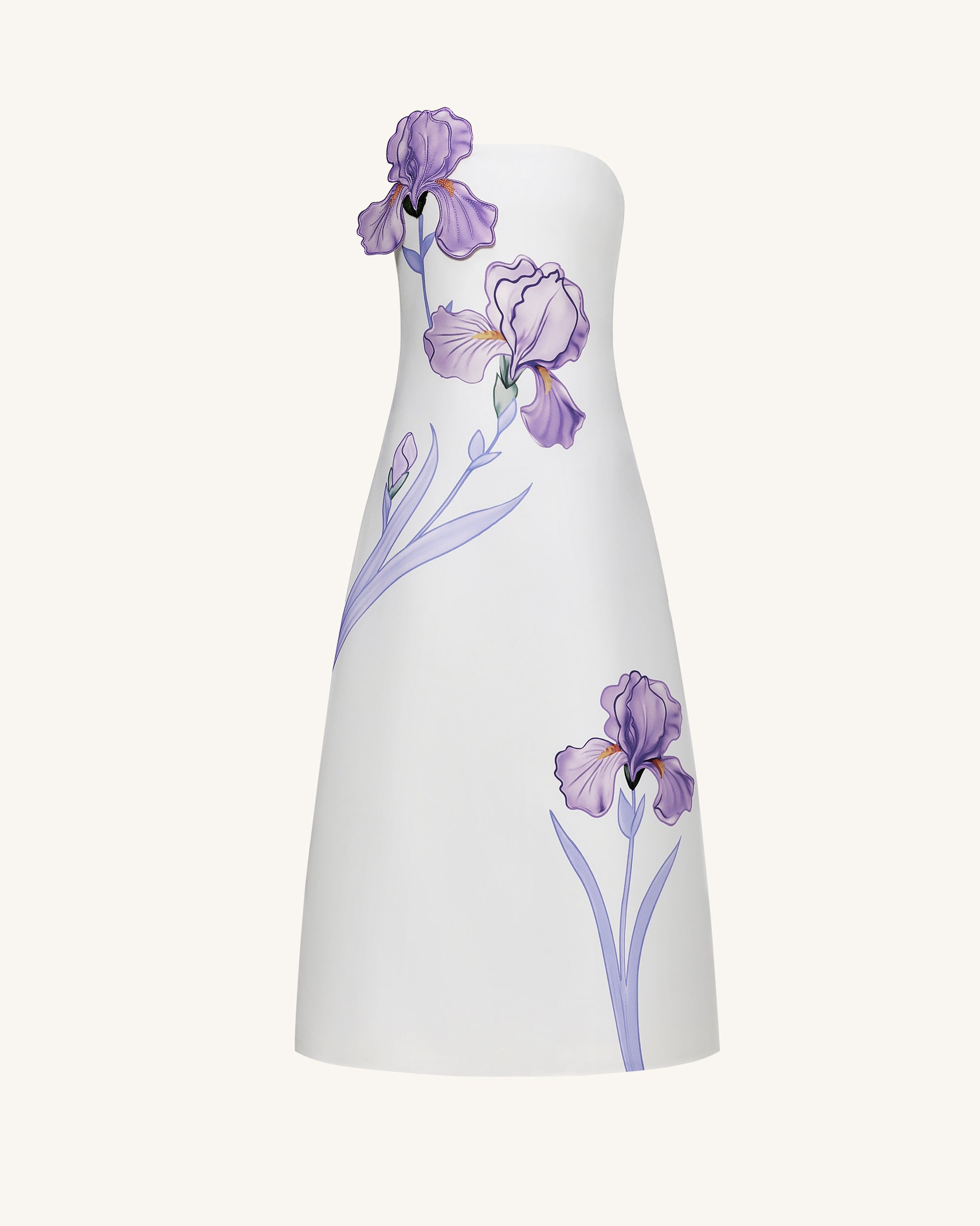Iris Floral Print Strapless A-Line Maxi Dress - White | JW PEI Iris Floral Print Strapless A-Line Maxi Dress - White | JW PEI