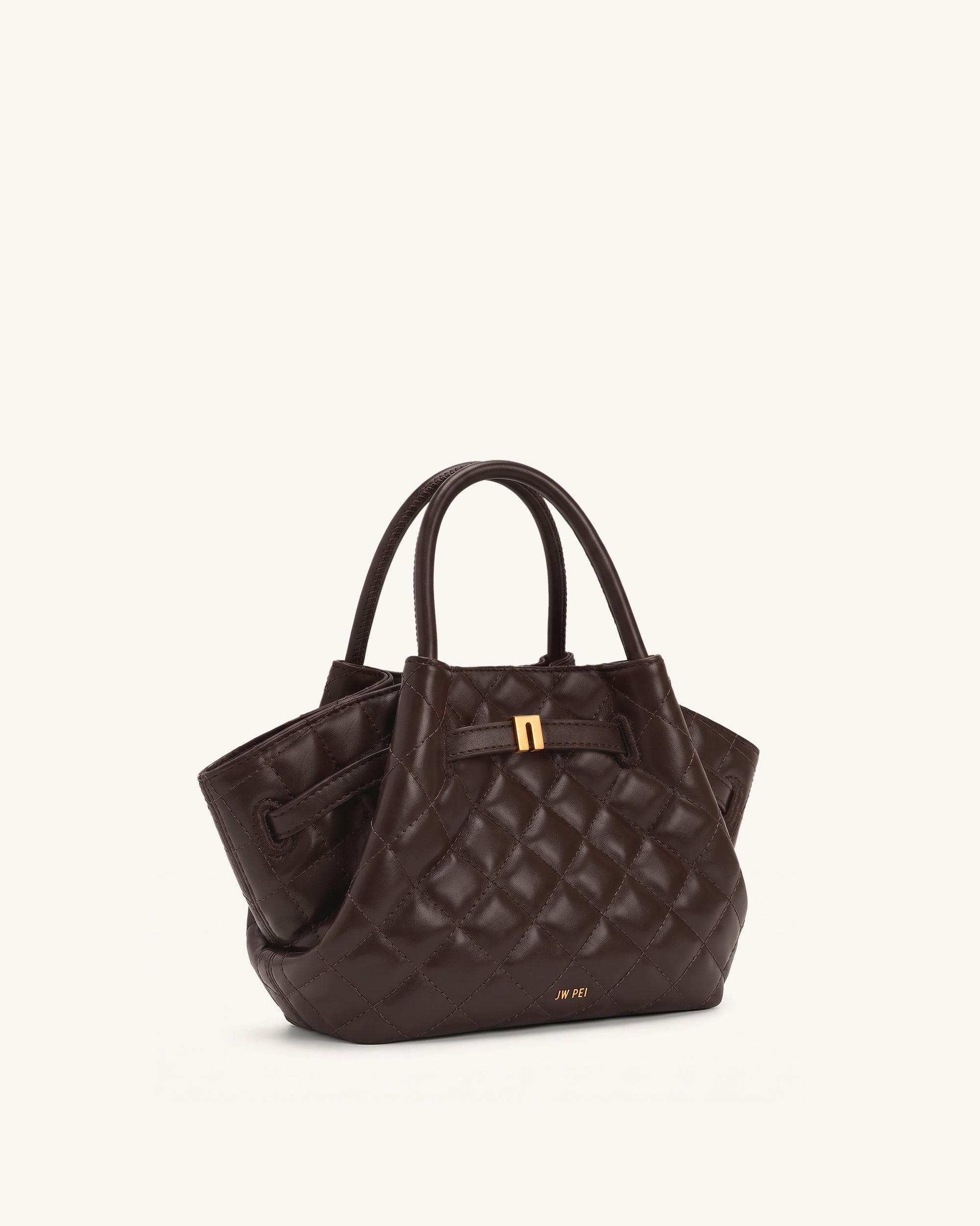 Hana Mini Tote Bag - Dark Chocolate Brown | JW PEI