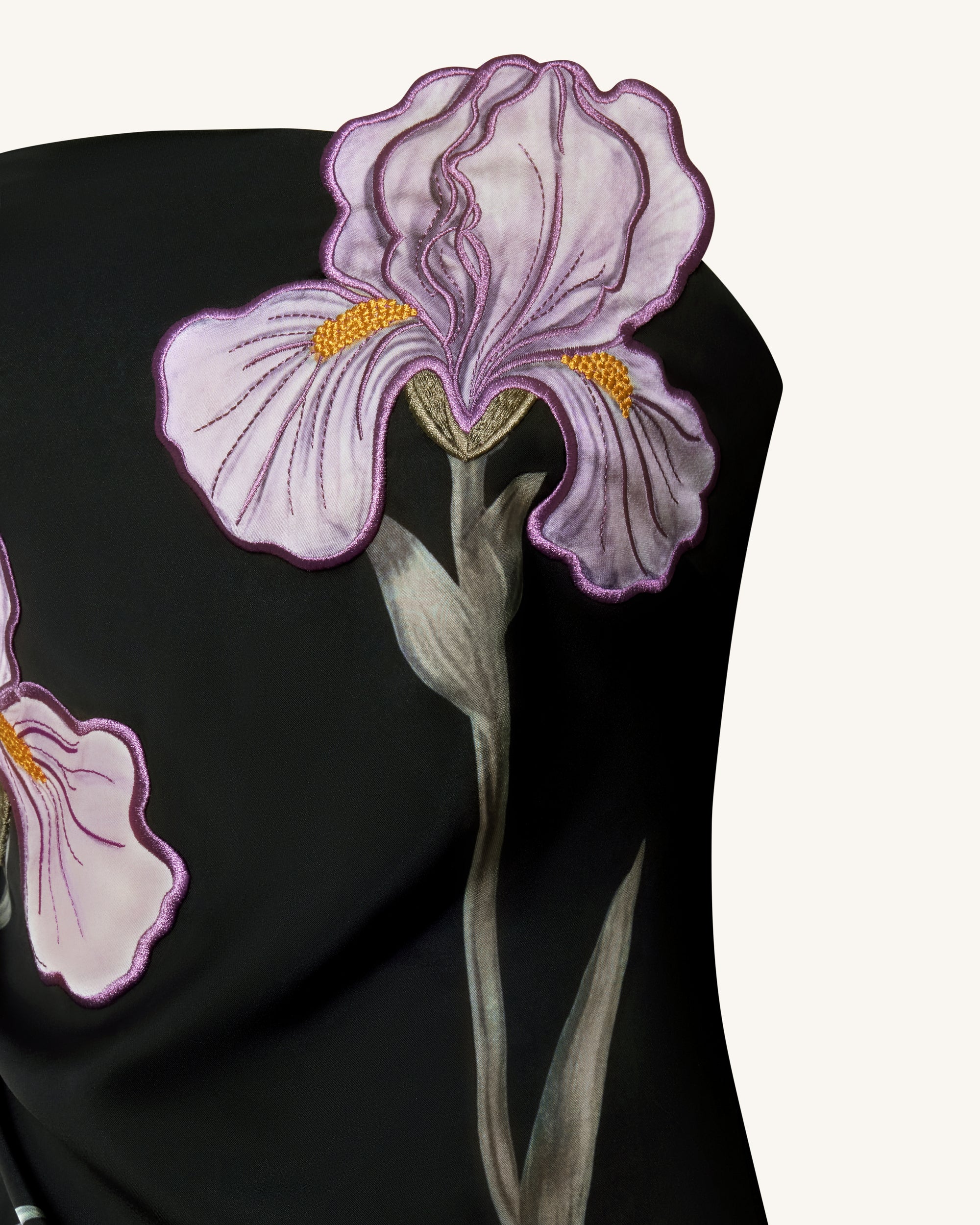 Iris Floral-Appliqué Strapless Maxi Dress