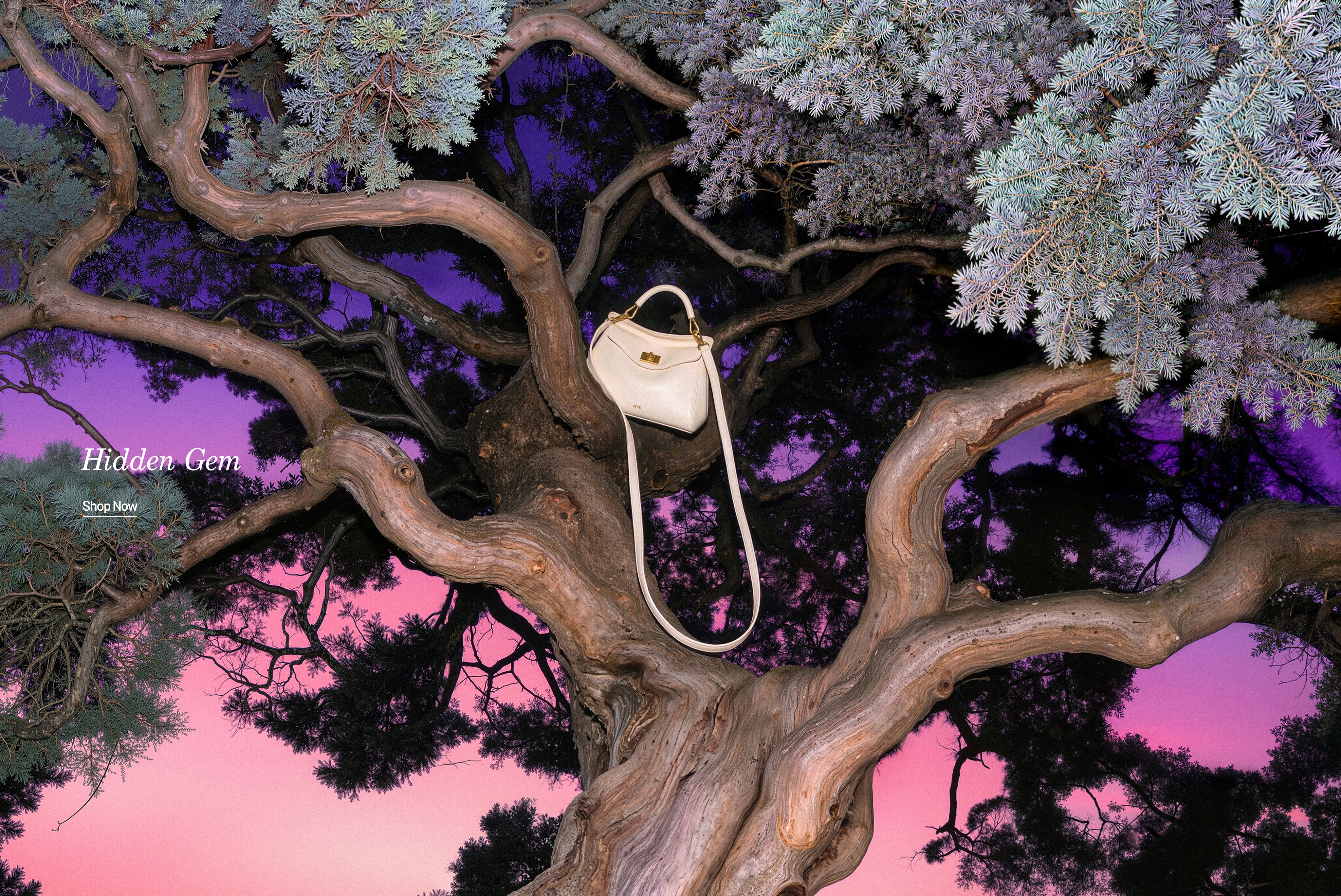 JW PEI Official Site - Affordable Luxury Designer Brand