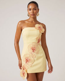 Orchid Embroidered Floral Appliqué Strapless Mini Dress - Light Yellow
