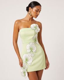 Orchid Embroidered Floral Appliqué Strapless Mini Dress - Pistachio Green