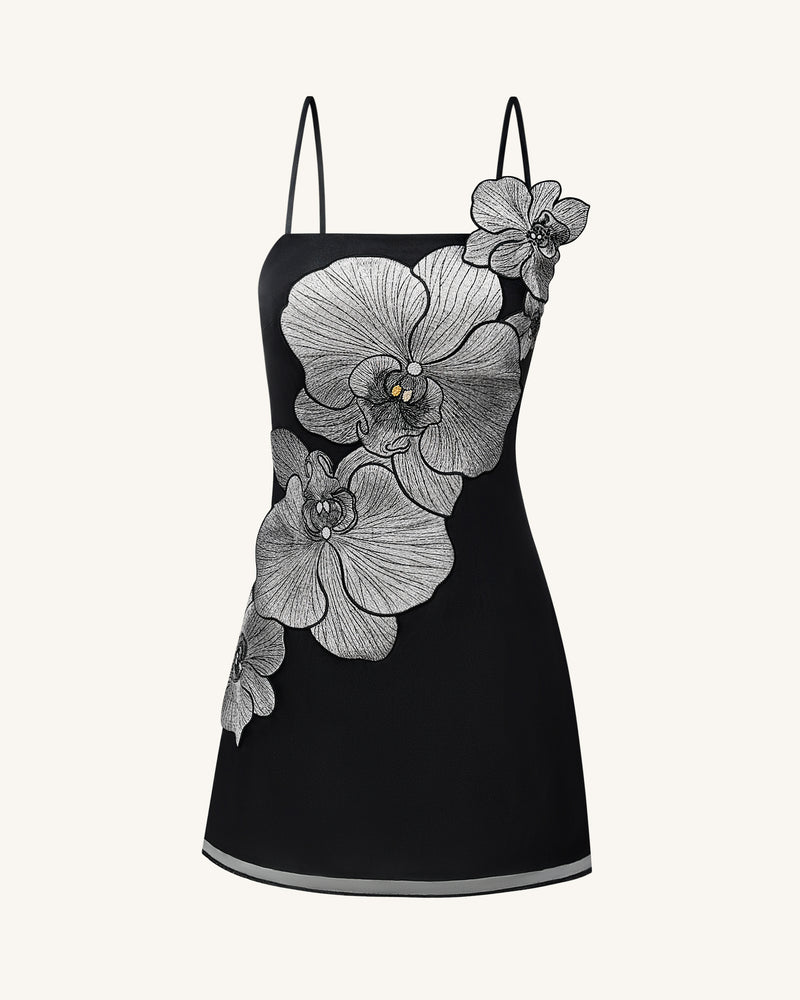 Dresses | JW PEI Dresses | JW PEI