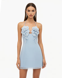 Flower Embroidered Mini Dress - Blue