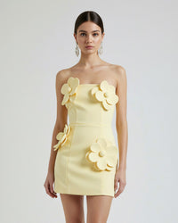 Mini Dress with Pink Floral Appliqués - White/Pink