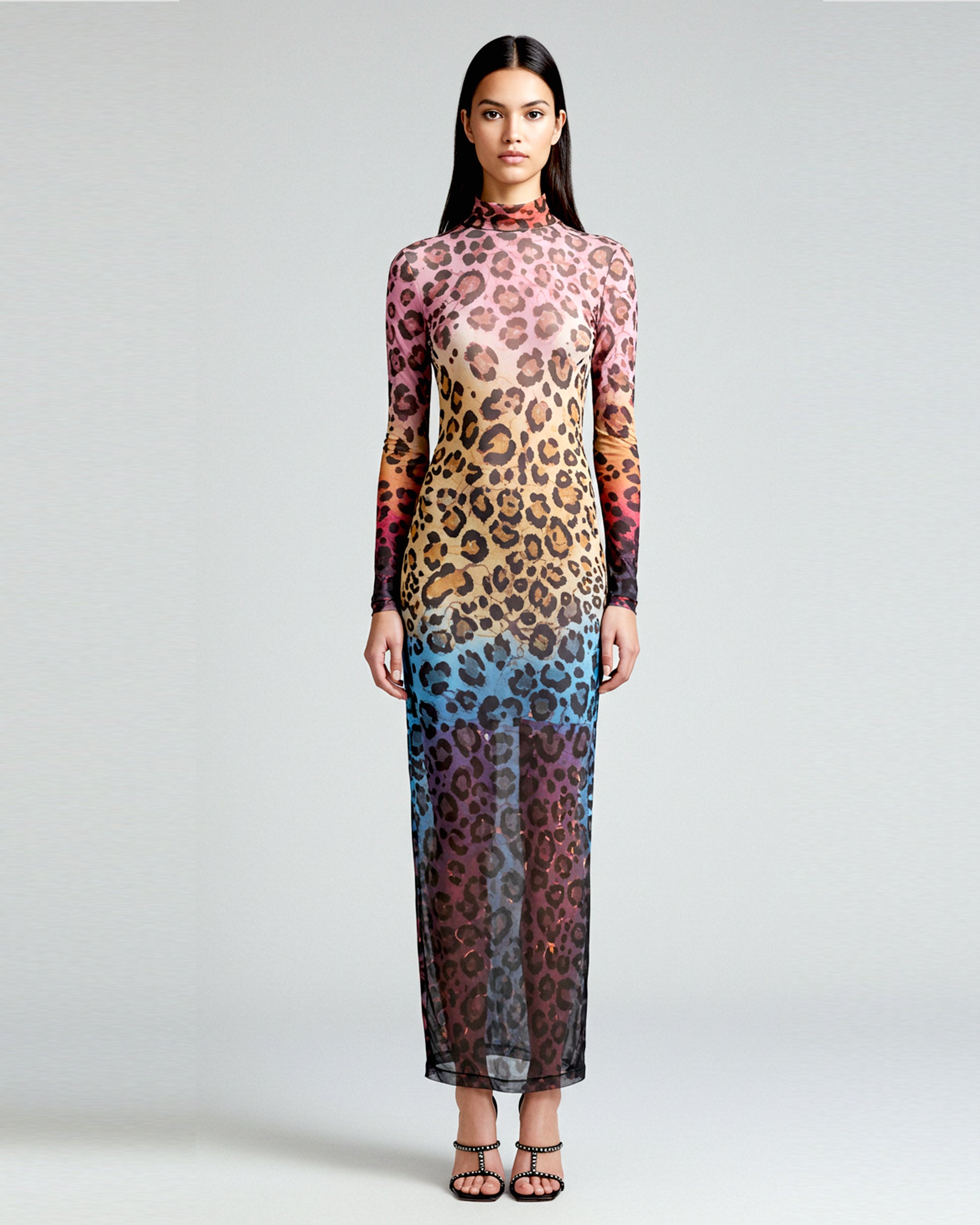 Sheer Leopard Print Dress - Multicolor