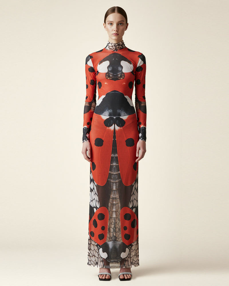 Ladybug Print Sheer Long Sleeve Dress - Red/Black