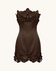 Orchid Trim Strapless Mini Dress - Brown