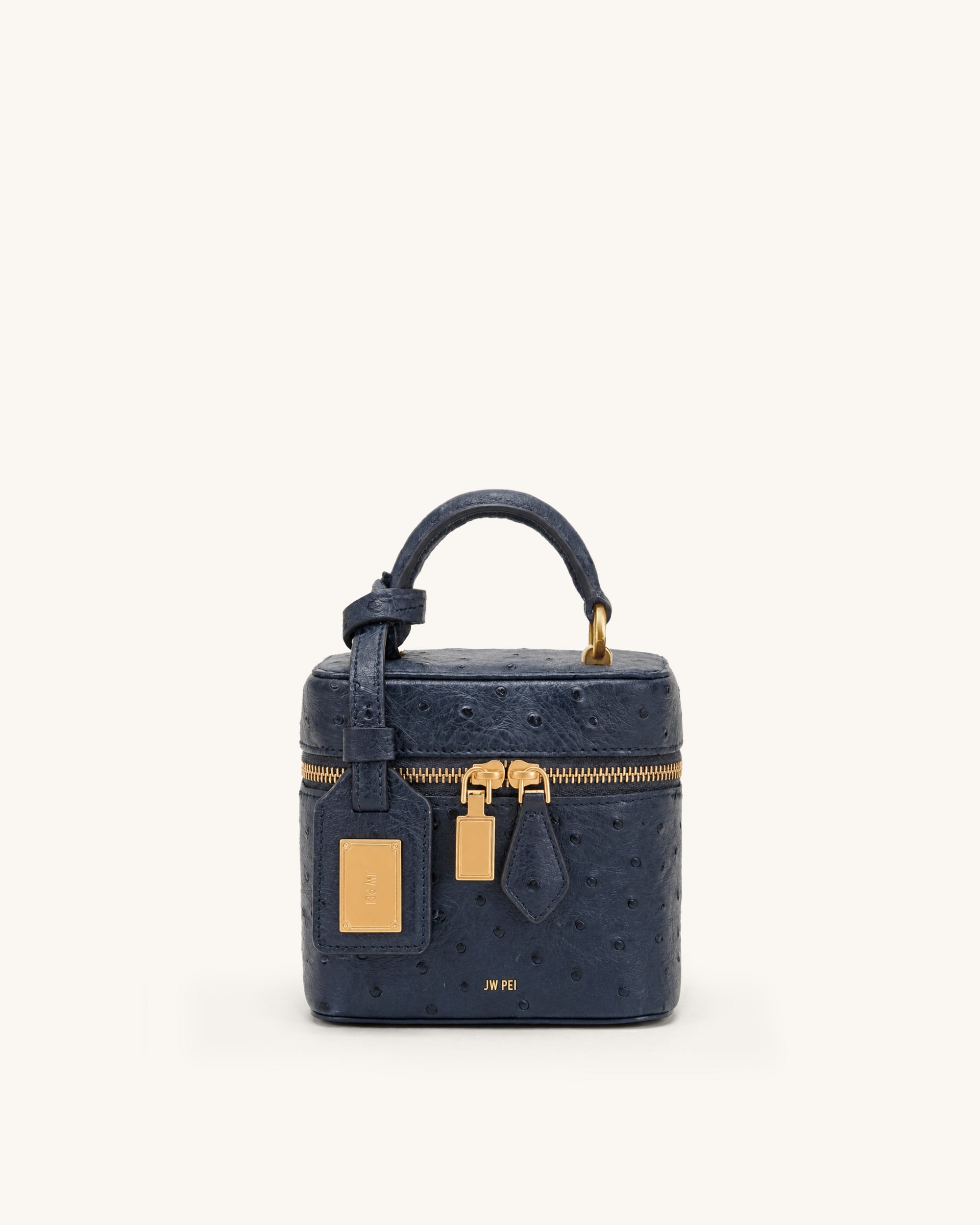 Cleo Ostrich-Embossed Vanity Bag - Navy Blue